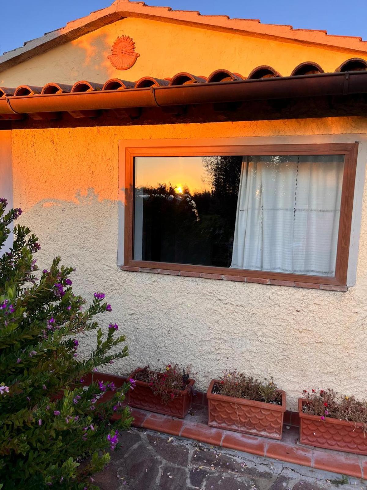 Villetta 3 Km Dal Mare Castagneto Carducci Buitenkant foto