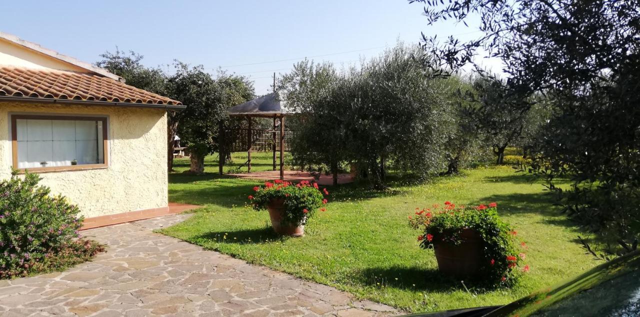 Villetta 3 Km Dal Mare Castagneto Carducci Buitenkant foto